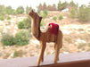 Bethlehem Olive Wood camel statue