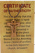  Cross Jesus Carved HolyLand Olive Wood