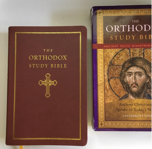 Orthodox Study Bible