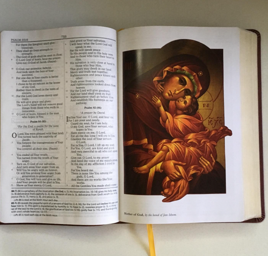 Orthodox Study Bible